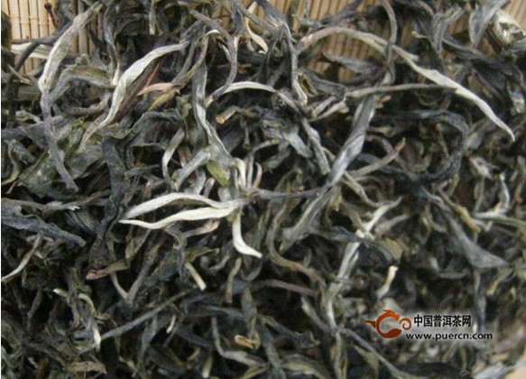 东莞茶商豪派300万现金订2014年普洱茶