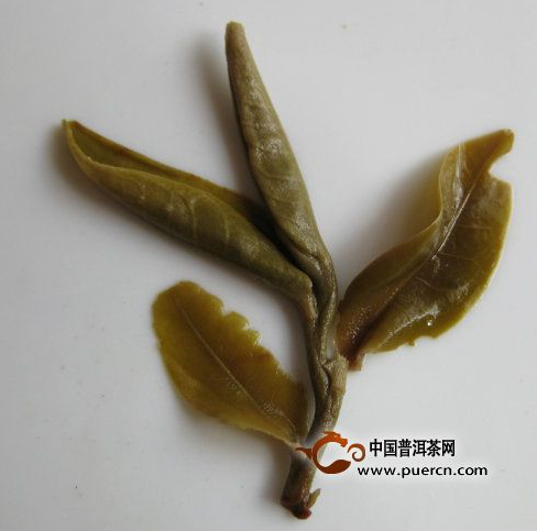 看图来辨别普洱茶原料春、秋、夏（雨水料）