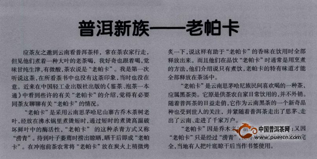 普洱新族——老帕卡